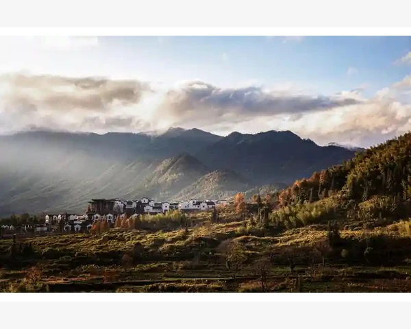 中医黎同明医生：预防肺结节的秘诀