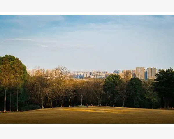 艾灸液效果怎么样好用吗？
